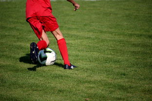九游博彩-中国足球职业俱乐部推动管理层岗位轮训制度，职业足球俱乐部训练计划